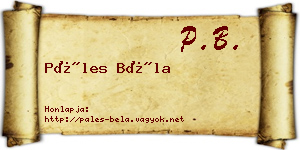 Páles Béla névjegykártya